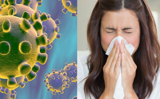 Phân biệt triệu chứng giữa virus corona và cảm cúm thông thường