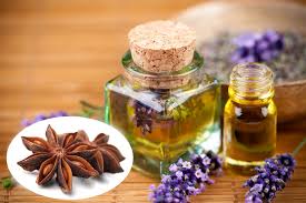 Nghiên cứu mô phỏng tháp chưng luyện gián đoạn chân không tinh chế tinh dầu hồi