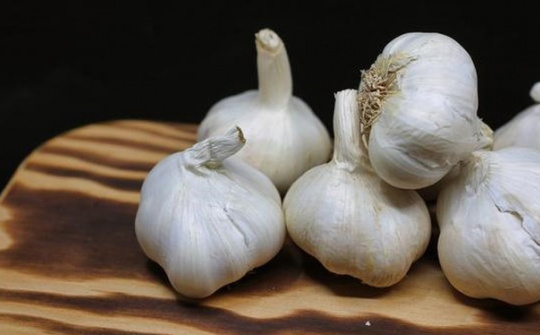 Thực hư chuyện tỏi "trị" được virus corona