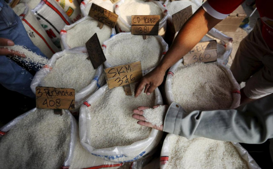 Ấn Độ: Xuất khẩu gạo năm 2019 giảm mạnh 18,1%, dự báo tiếp tục giảm 20% trong năm 2020