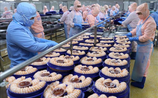 Dự báo xuất khẩu tôm Việt Nam sẽ thuận lợi hơn trong năm 2020