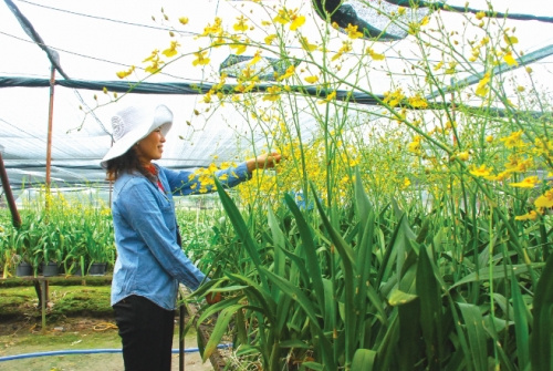 Chính sách giảm nghèo bền vững: Một số kết quả và vấn đề đặt ra