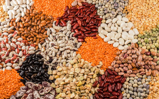 TT nông sản 13/3/2020 rơi xuống mức thấp do gia tăng lo ngại về đại dịch virus corona