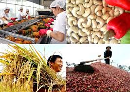 Giải pháp đẩy mạnh hoạt động xuất khẩu nông sản của Việt Nam sang thị trường EU