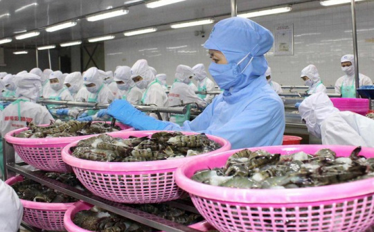 Nửa đầu tháng 3, Việt Nam xuất siêu gần 1 tỷ USD bất chấp Covid-19