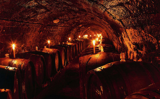 Người Hungary sản xuất rượu vang đắt nhất thế giới như thế nào