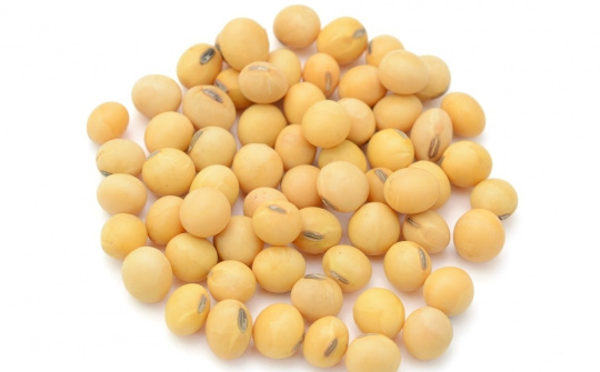 Diễn biến giá nông sản thế giới ngày 26/3