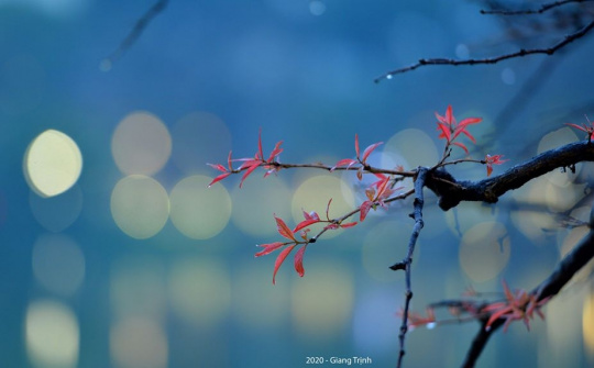 Thời tiết 28-3: Ảnh hưởng không khí lạnh, Bắc bộ trời chuyển mát, đề phòng mưa dông