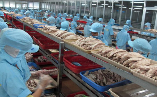 Các yếu tố tạo động lực làm việc cho nhân viên trong các doanh nghiệp thủy sản tỉnh Bạc Liêu