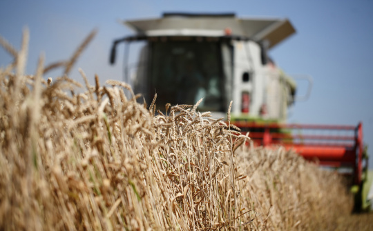 Giá nông sản giảm mạnh vì tác động dịch virus Covid-19