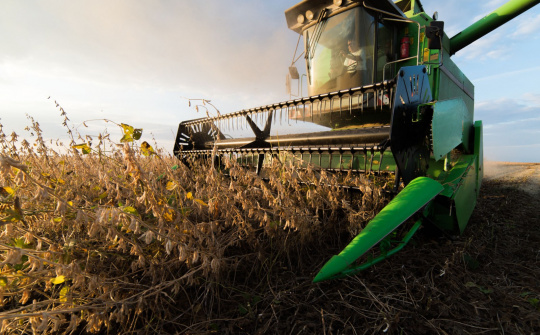 Diễn biến giá nông sản thế giới ngày 1/4