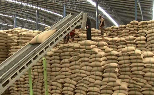 Xuất khẩu gạo Thái Lan tăng mạnh nhờ đại dịch Covid-19