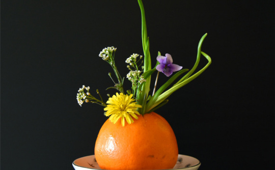 Thiên nhiên truyền cảm hứng cho nghệ thuật.