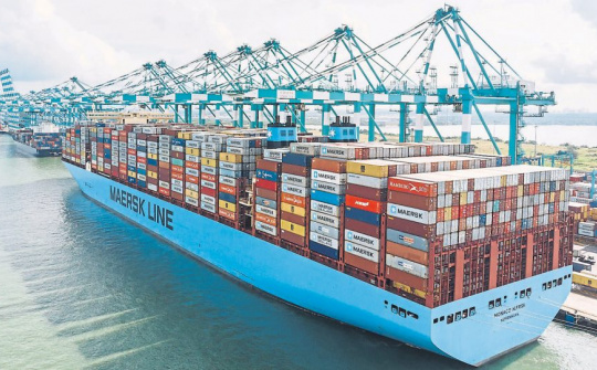Các hãng tàu vận tải container đối mặt sức ép thua lỗ nghiêm trọng vì đại dịch Covid-19