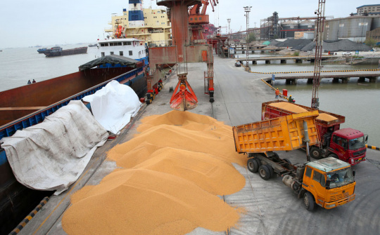 Diễn biến giá nông sản thế giới ngày 15/4