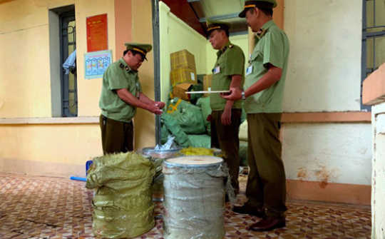 Hoàn thiện quy định của pháp luật hình sự về truy cứu trách nhiệm hình sự đối với hành vi giả mạo nhãn hiệu hàng hóa