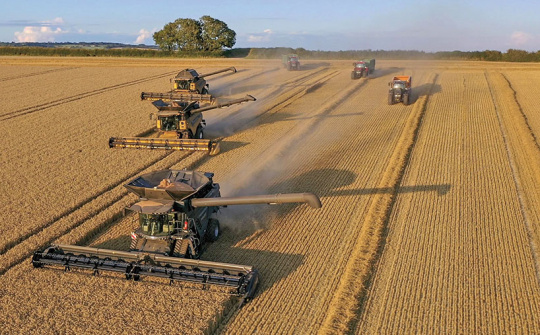 Diễn biến giá nông sản thế giới ngày 17/4