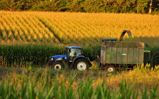 Diễn biến giá nông sản thế giới ngày 22/4