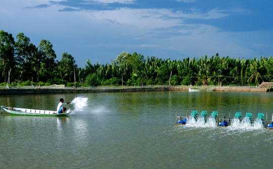 Xuất khẩu thủy sản tăng tốc đầu tư vào nguyên liệu để đón đầu thị trường phục hồi