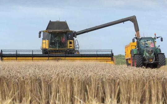 Diễn biến giá nông sản thế giới ngày 23/4