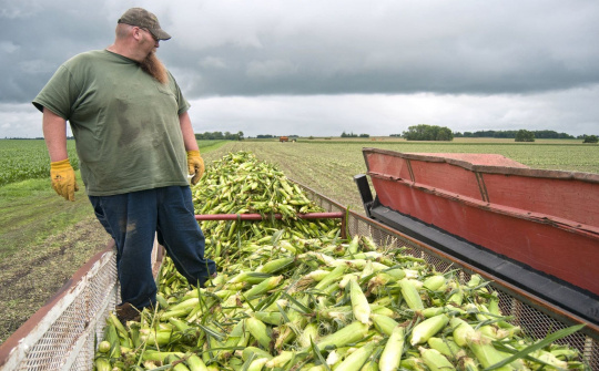 Diễn biến giá nông sản thế giới ngày 25/4