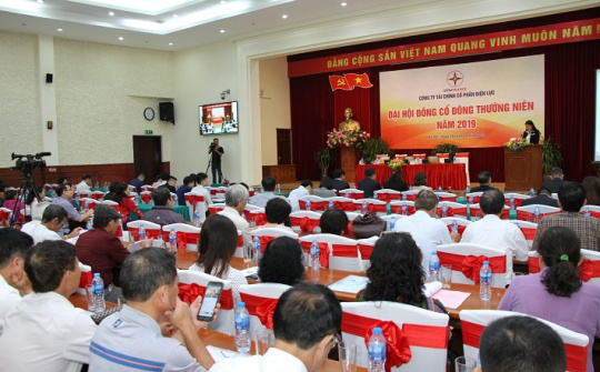 EVN Finance hoãn đại hội cổ đông thường niên 2020