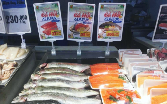 Cá hồi Sapa "ngược dòng" về Thủ đô Hà Nội, có mặt tại Big C từ 25/4