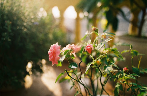 Thời tiết 15-4: Bắc bộ hửng nắng, nền nhiệt tăng nhẹ