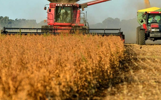 Diễn biến giá nông sản thế giới ngày 6/4