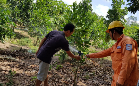 PC Trà Vinh: Hiện thực hóa ước mơ “đưa điện ra đảo”