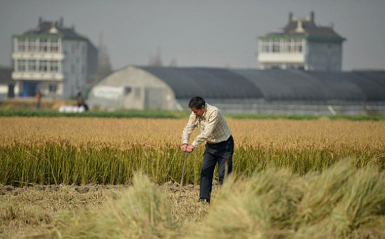 Quy định pháp luật về thu hồi đất và giải quyết khiếu nại về thu hồi đất của Trung Quốc