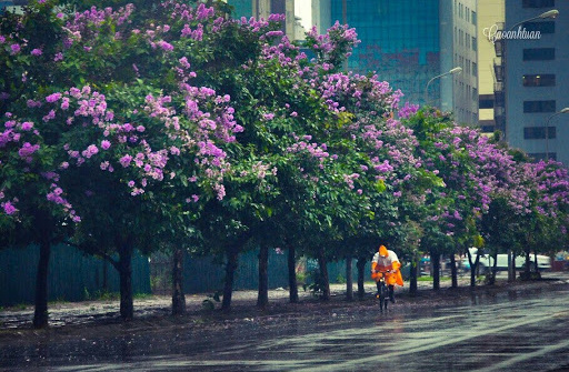 Thời tiết 17-5: Bắc Bộ có mưa dông trên diện rộng