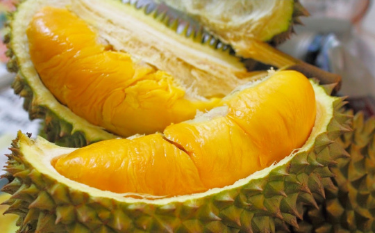 Sầu riêng và những điều cần biết