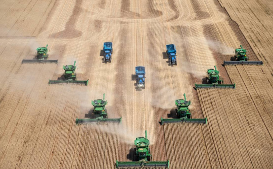 Giá lúa mì tiếp tục giảm, nhu cầu tiêu thụ trên toàn cầu suy yếu vì đại dịch Covid-19