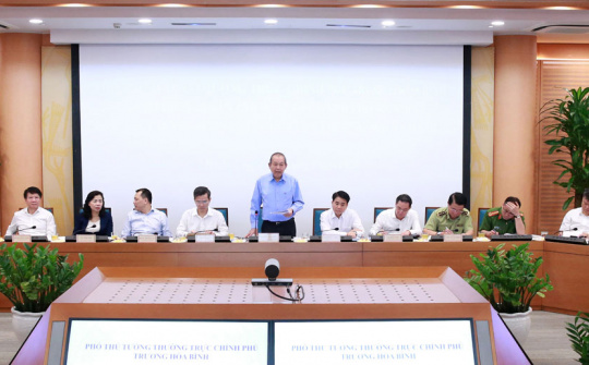 Phó Thủ tướng Trương Hòa Bình: Buộc thôi việc những cán bộ tiếp tay cho hành vi buôn lậu