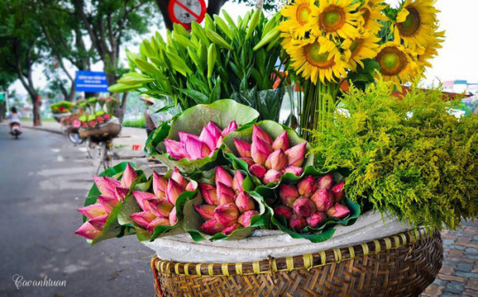 Thời tiết 20-5: Nắng nóng xuất hiện ở hầu khắp cả nước