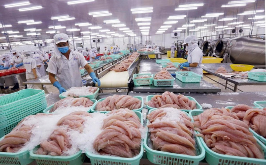 Hậu Covid-19, doanh nghiệp xuất khẩu cá tra có thể tăng tốc vào thị trường ASEAN