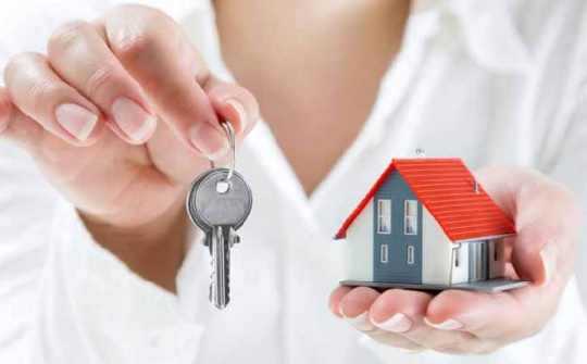 Pháp luật về chuyển nhượng quyền sử dụng đất của tổ chức kinh tế, bất cập và khuyến nghị