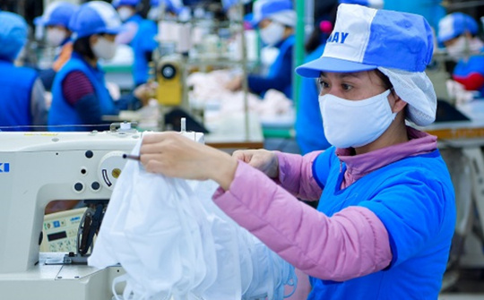 Cổ phiếu Dệt kim Hà Nội chào sàn UPCoM