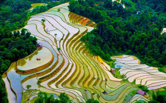 Ruộng bậc thang Hoàng Su Phì mùa nước đổ