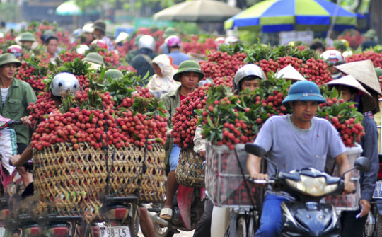 Bốn giải pháp cân bằng cán cân thương mại Việt Nam - Trung Quốc