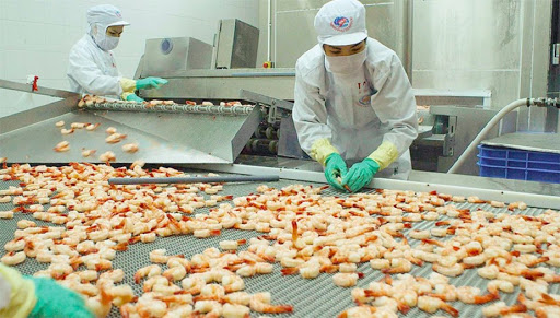 Xuất khẩu tôm Việt Nam đón cơ hội từ hậu COVID-19