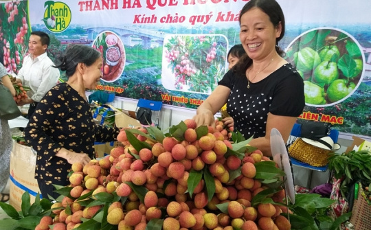 Vải thiều Thanh Hà đổ bộ Thủ đô, tươi, ngon từng quả, giá hấp dẫn