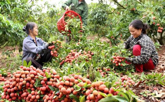 Việt Nam mở rộng xuất khẩu nông thủy sản, thực phẩm vào Singapore