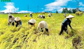 Một số bài học kinh nghiệm rút ra từ chuyển dịch cơ cấu kinh tế ngành Nông nghiệp của Thành phố Hồ Chí Minh