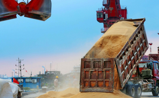 Giá đậu tương tiếp tục tăng bất chấp căng thẳng quan hệ Hoa Kỳ - Trung Quốc