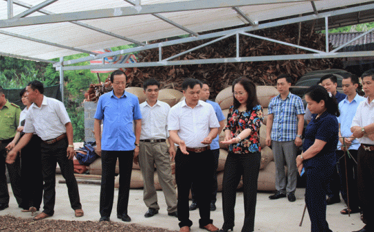 Huyện Tràng Định - Tích cực đổi mới mô hình tăng trưởng dựa trên phát huy các thế mạnh