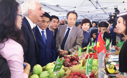 Xác định 4 mục tiêu xúc tiến thương mại hỗ trợ doanh nghiệp khai thác thị trường EVFTA