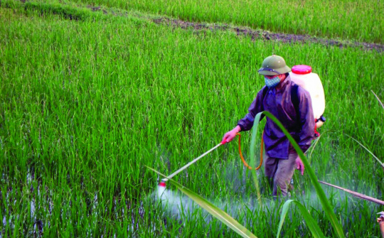 Vì sao cần sớm sửa đổi chính sách thuế phân bón?