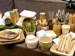 Các yếu tố thúc đẩy ý định và hành vi tiêu dùng xanh của Millennials Việt Nam